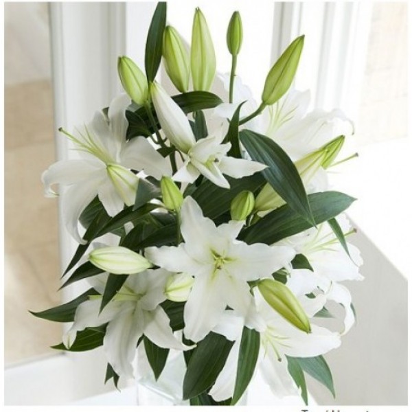 Simply White Oriental Lilies